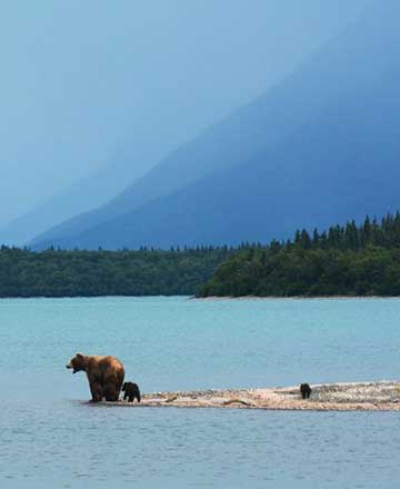 alaska fishing trip
